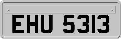 EHU5313