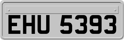 EHU5393
