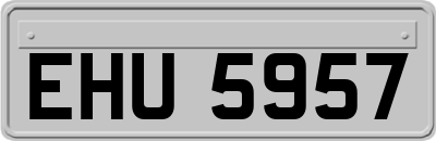 EHU5957