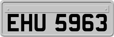 EHU5963
