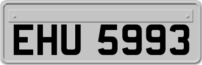 EHU5993