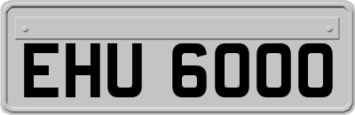 EHU6000