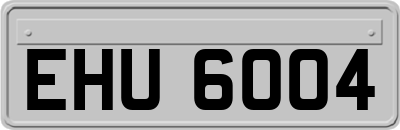 EHU6004