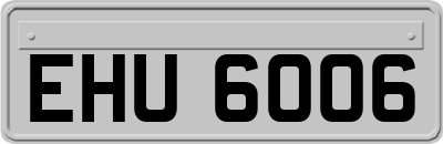 EHU6006