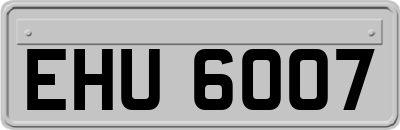 EHU6007