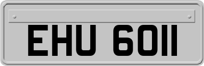 EHU6011
