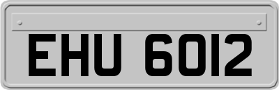 EHU6012