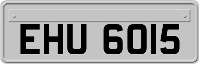 EHU6015