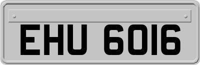 EHU6016