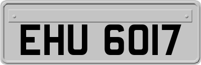 EHU6017