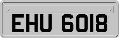 EHU6018