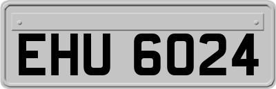 EHU6024