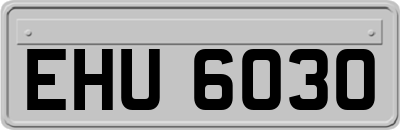 EHU6030