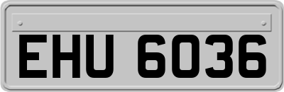 EHU6036