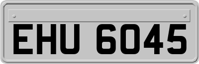 EHU6045