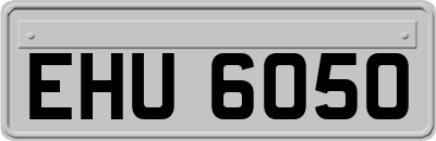 EHU6050