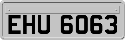 EHU6063