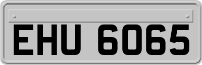 EHU6065