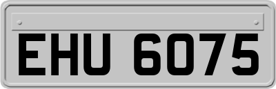 EHU6075