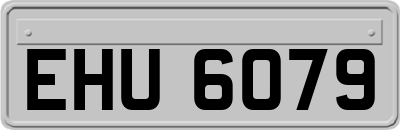 EHU6079