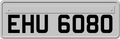 EHU6080