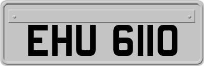 EHU6110