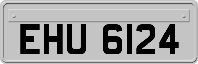 EHU6124