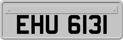 EHU6131