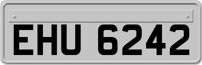 EHU6242