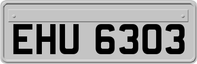 EHU6303