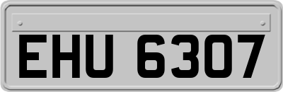 EHU6307