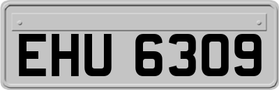 EHU6309