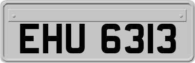 EHU6313