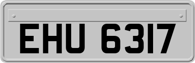 EHU6317