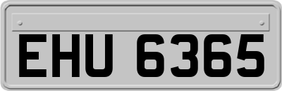 EHU6365