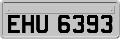 EHU6393