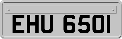EHU6501