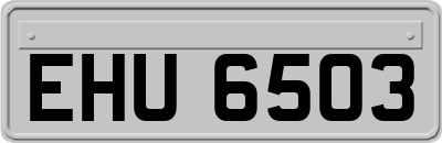 EHU6503
