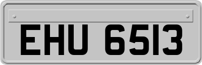 EHU6513