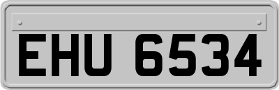 EHU6534