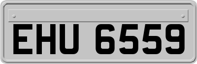 EHU6559