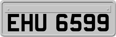 EHU6599