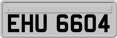 EHU6604