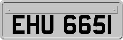 EHU6651