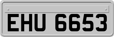 EHU6653