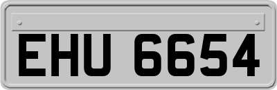 EHU6654