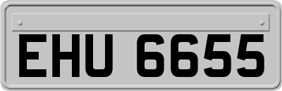 EHU6655