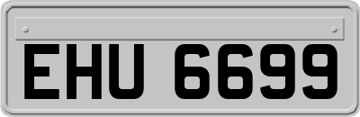EHU6699