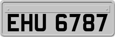 EHU6787