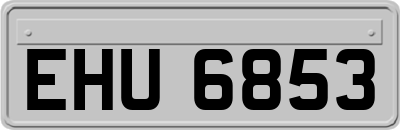 EHU6853